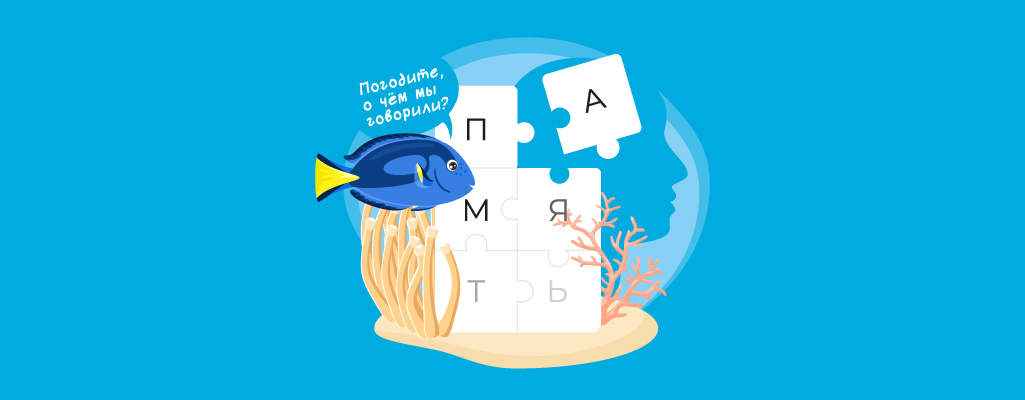 Память как у рыбки Дори: что делать?