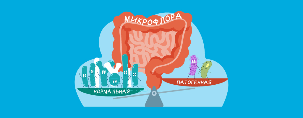 Дисбактериоз кишечника: причины, симптомы, диагностика, лечение