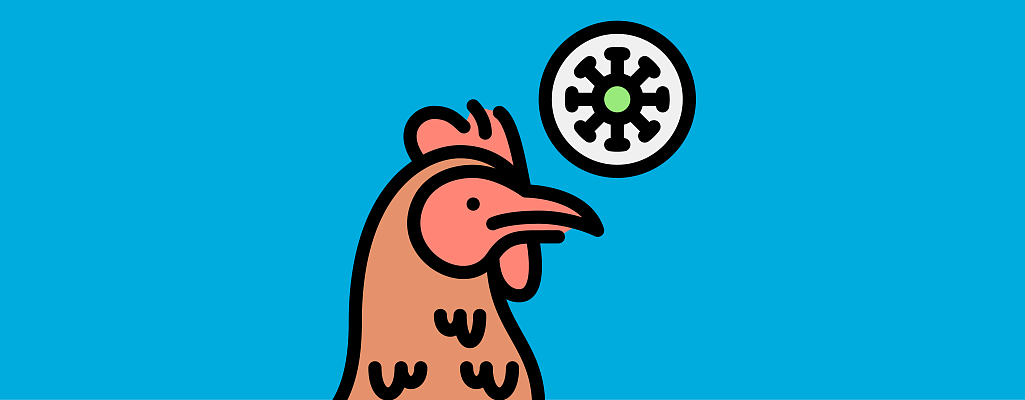 Птичий грипп (H5N1): симптомы у людей и птиц, опасность для человека