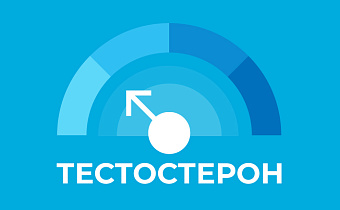 Как вырабатывается тестостерон