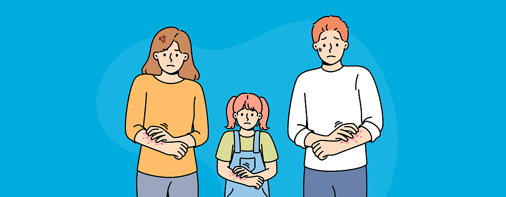 Чесотка у человека: симптомы, признаки и как лечить кожное заболевание в домашних условиях