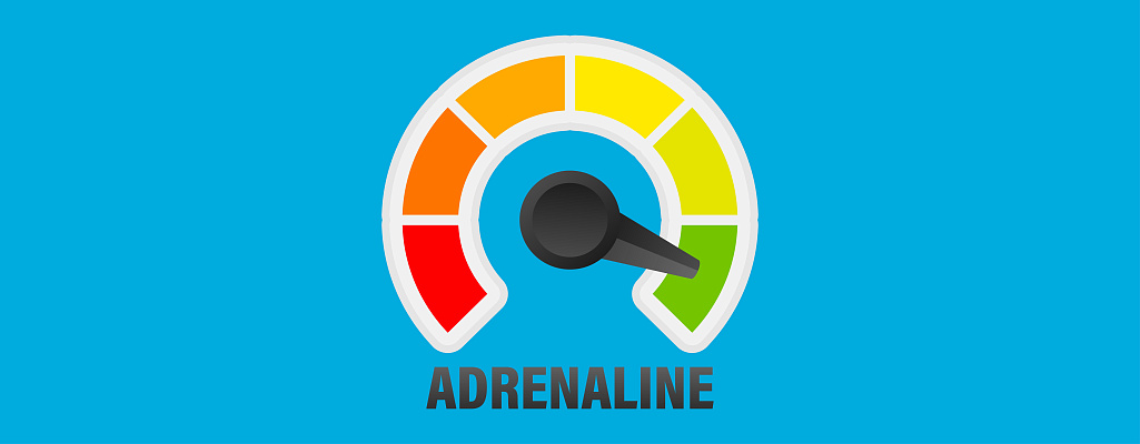 Что делает адреналин с организмом: влияние, действие и последствия