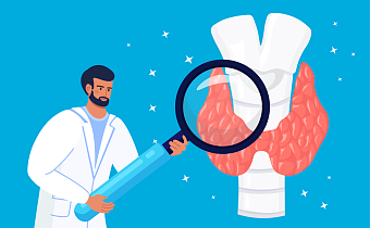 Какие гормоны вырабатывает щитовидная железа: функции и влияние на организм