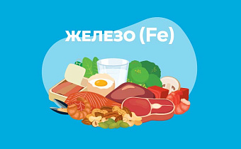 Продукты богатые железом: где содержится, список и как поднять уровень