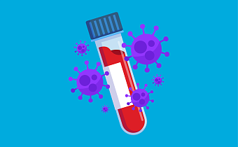 HCV анализ крови (гепатит С): что это, что показывает и расшифровка результатов