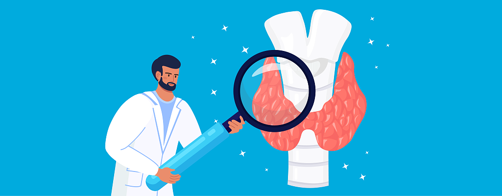 Какие гормоны вырабатывает щитовидная железа: функции и влияние на организм