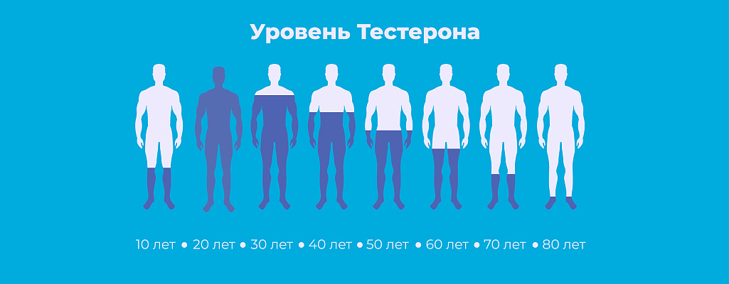 Как повысить тестостерон у мужчин: естественные способы и рекомендации врачей