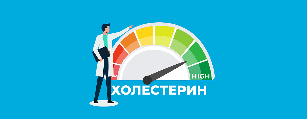 Что такое липидный профиль, холестерин и его фракции. Какова их функция  