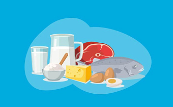 Белок: в каких продуктах содержится, суточная норма и высокобелковые продукты