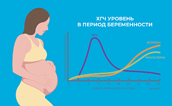 ХГЧ медленно растет или падает на ранних срока: причины и что делать