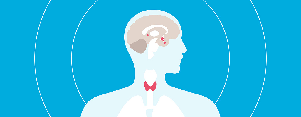 Тиреотропный гормон