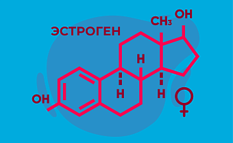 Эстроген: что это за гормон и за что он отвечает у женщин