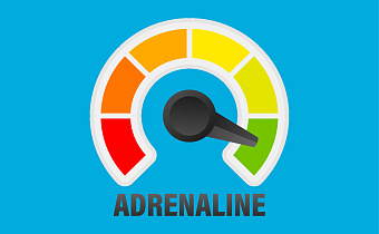 Что делает адреналин с организмом: влияние, действие и последствия