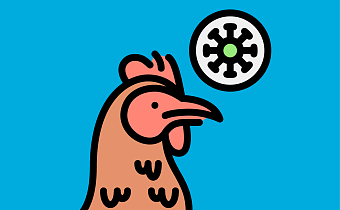 Птичий грипп (H5N1): симптомы у людей и птиц, опасность для человека