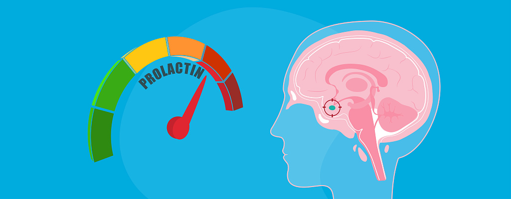 Пролактин повышен в 2 раза у женщин