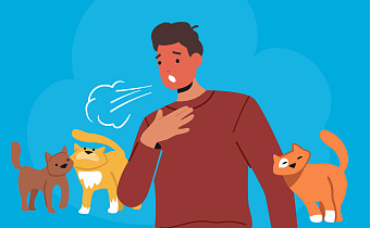 Аллергия на кошек: Симптомы, причины, что делать и как бороться