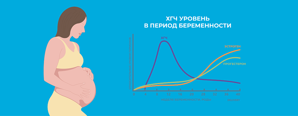 ХГЧ медленно растет или падает на ранних срока: причины и что делать