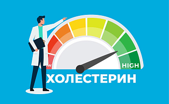 Что такое липидный профиль, холестерин и его фракции. Какова их функция  