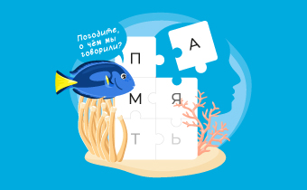 Память как у рыбки Дори: что делать?