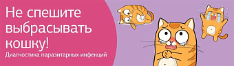 Не спешите выбрасывать кошку! Диагностика паразитарных инфекций